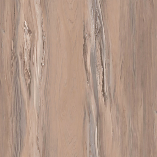 X7063 cerasus lignum fossilium