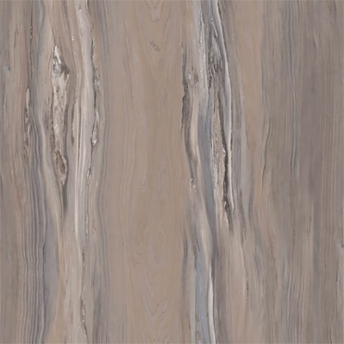 X7063 cerasus lignum fossilium