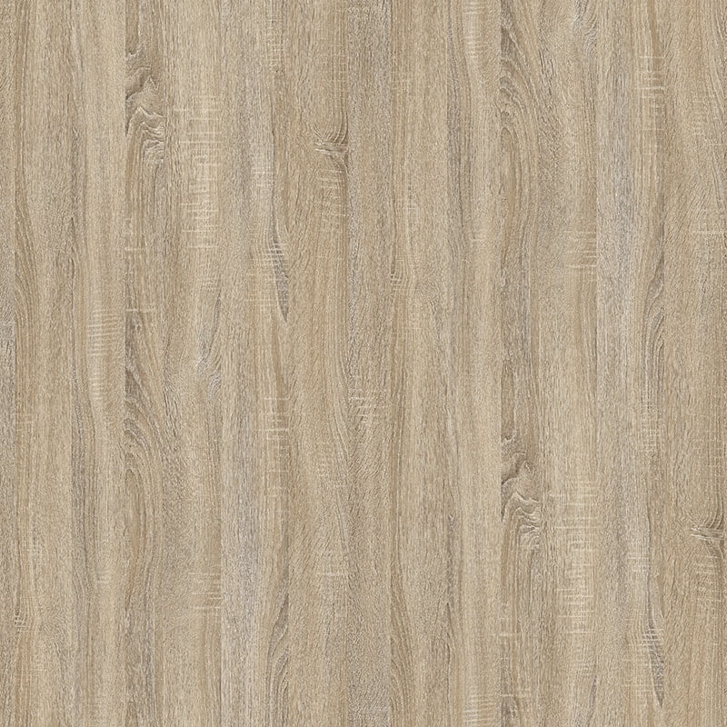 X2013 quercus